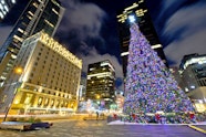 What To Do In Chicago During Christmas 2024 Calendar Alane Auguste What To Do In Chicago During Christmas 2024 Calendar Alane Auguste