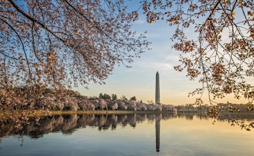 Washington DC with kids