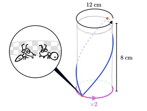 Ants And A Cylinder