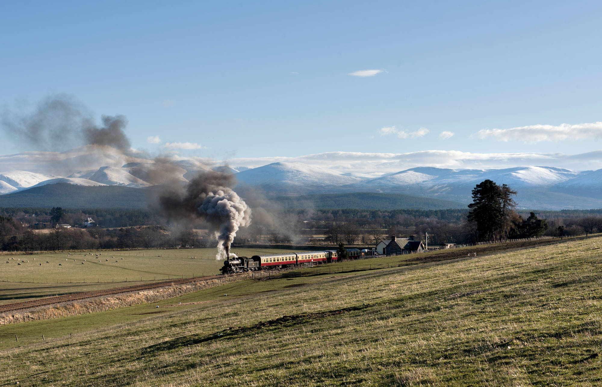 Steam Train