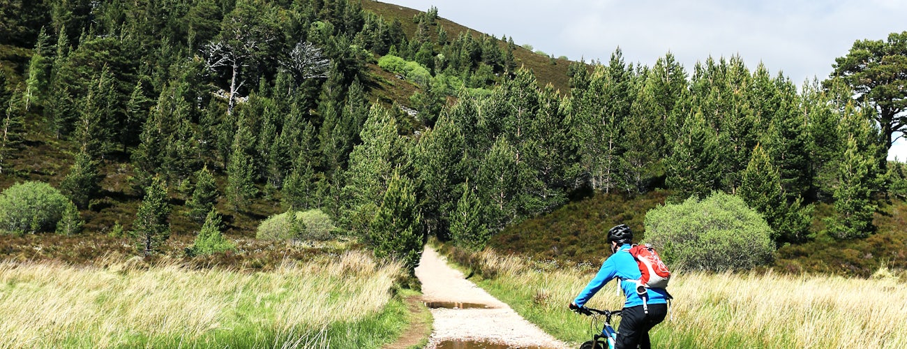 Cycling in Cairngorms