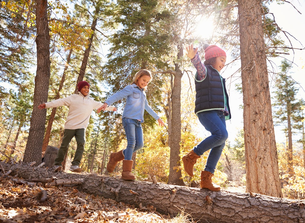 Family Breaks Family Breaks