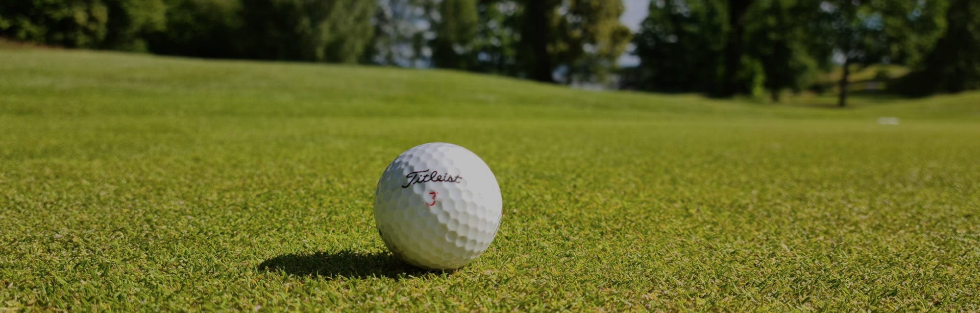 Golf days golf ball