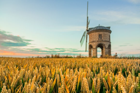 Warwickshire Wheat Fields