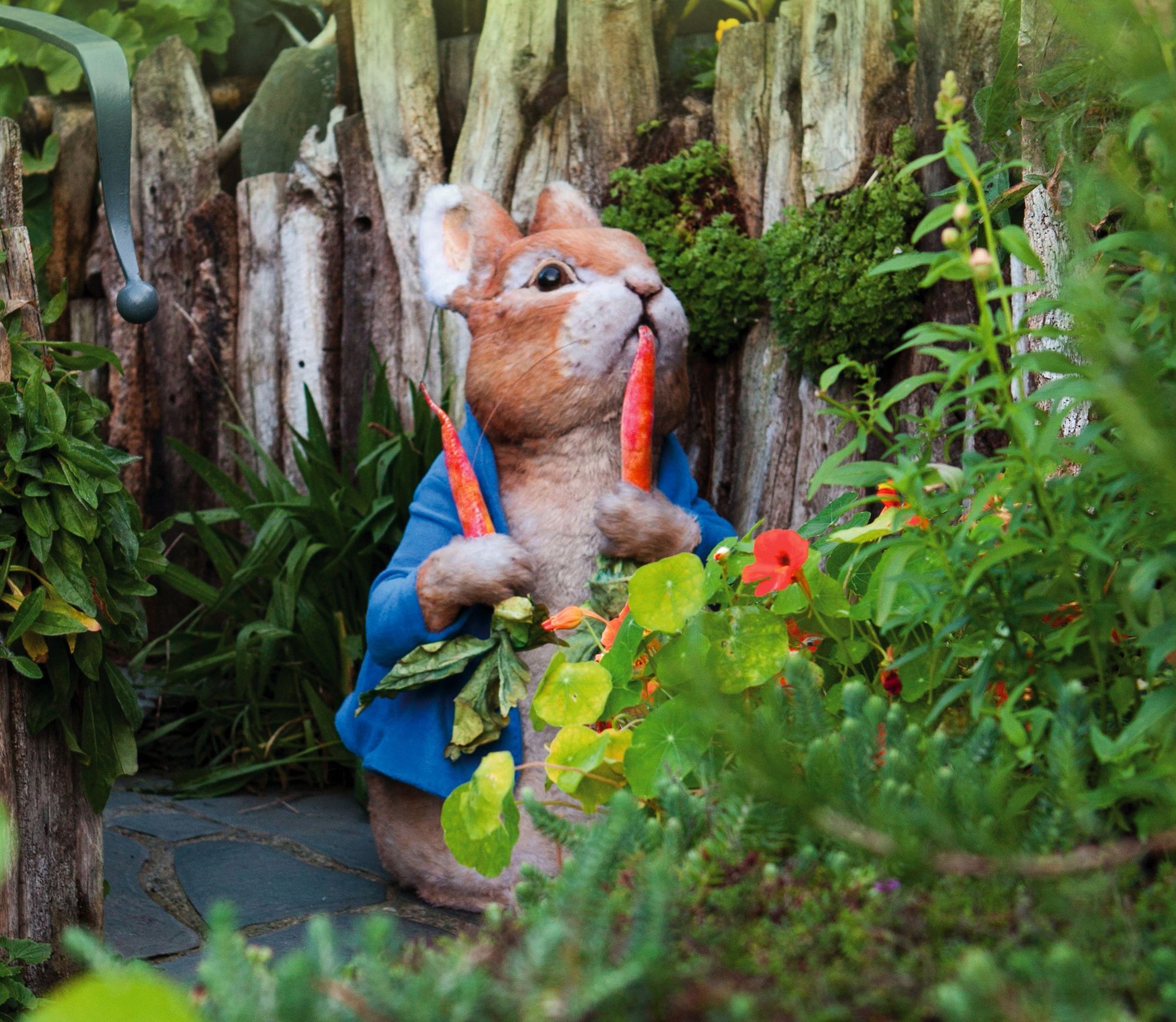 Beatrix Potter World