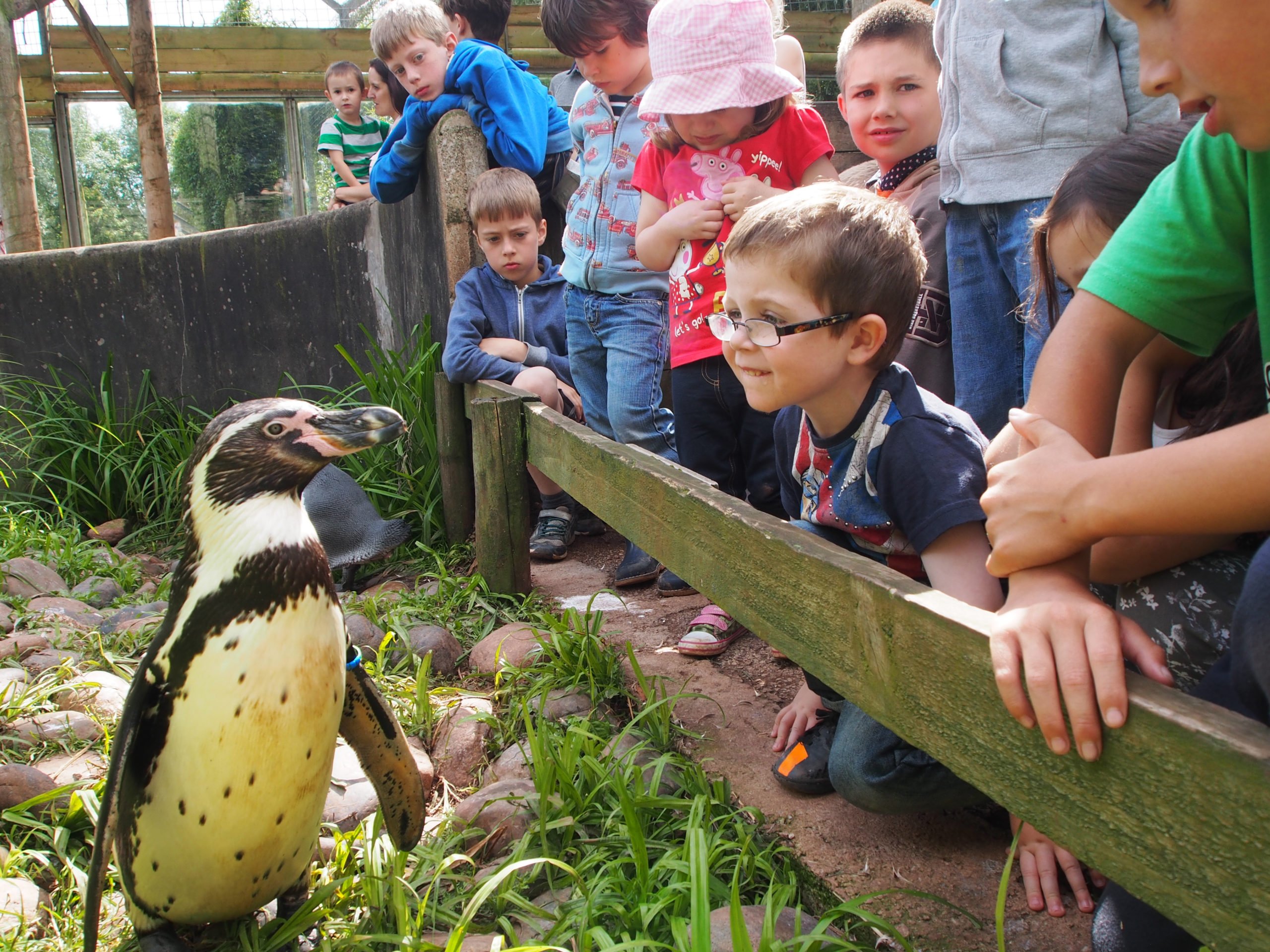 Safari Zoo Windermere