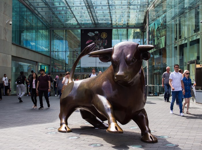 Burlington Bull