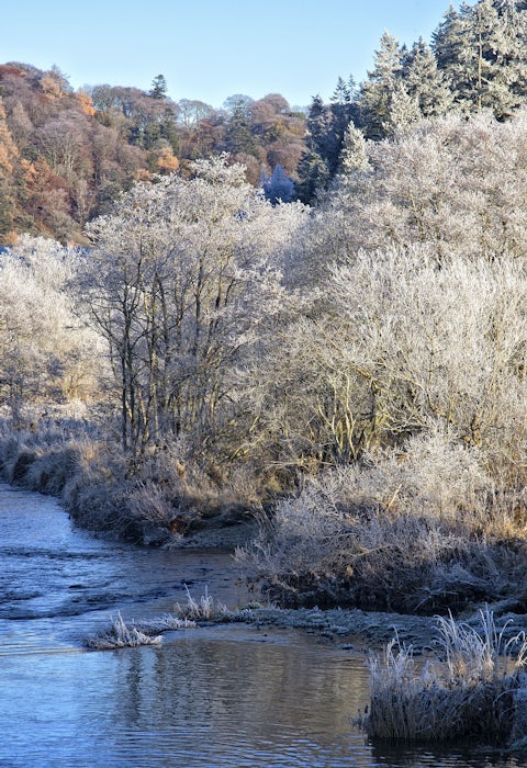 River Tweed in Winter