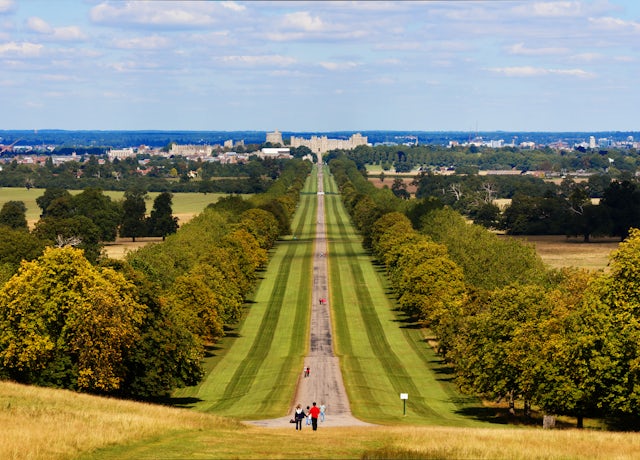 The Long Walk at Windsor Castle
