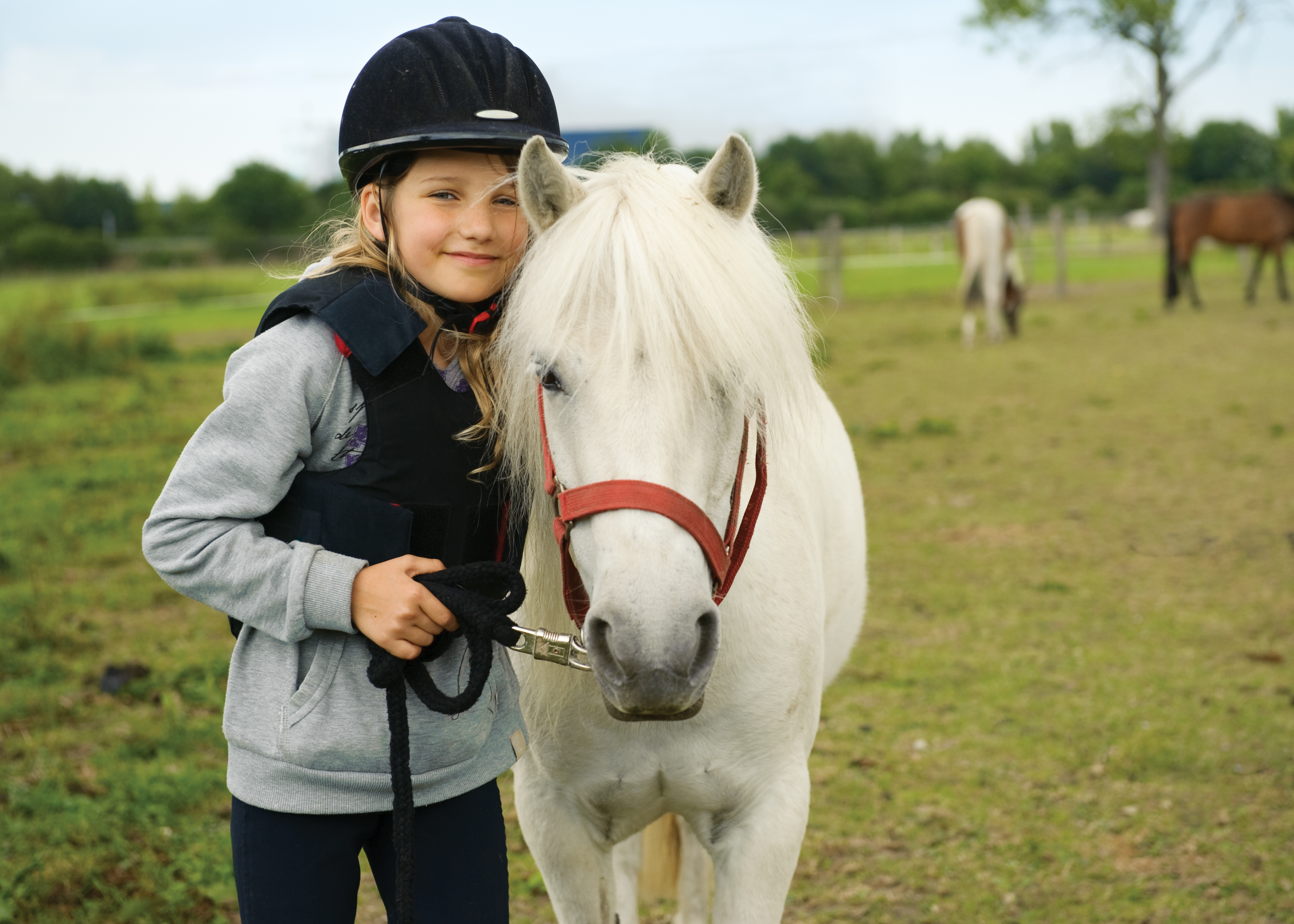 Pony Trekking