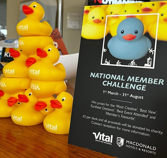 Vital Ducks at reception