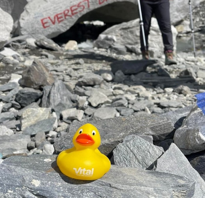 Vital Duck perched on Everest