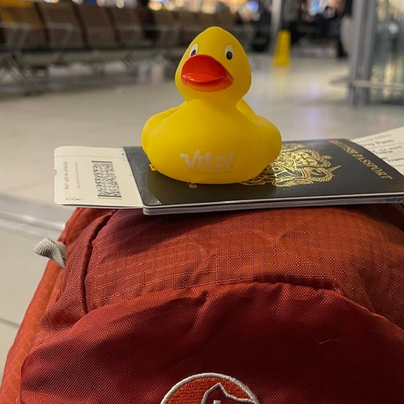 Vital Duck waiting in airport