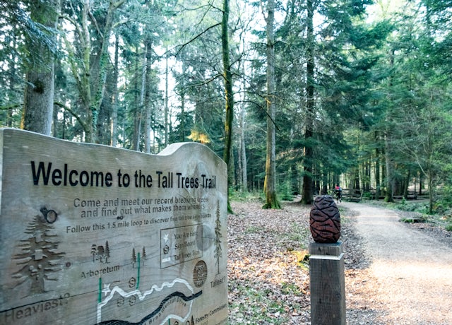 A signpost for a tree trail walk in the Blackwater Arboretum, New Forest National Park, popular for its giant Sequoia Redwood trees