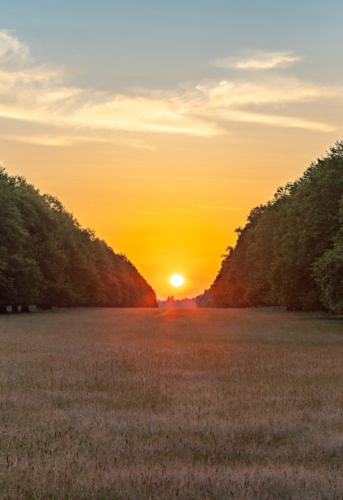 Beautiful avenue of trees with the sun coming up right in-between the two rows. Near Brockenhurst Park and Roydon Woods in the New Forest National Park, Hampshire, UK