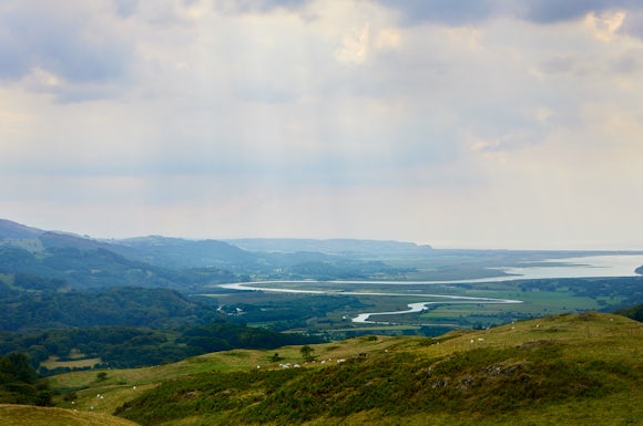 Dyfi Estuary View