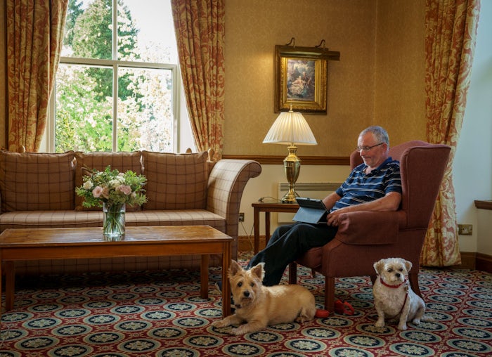 Dog friendly hotels