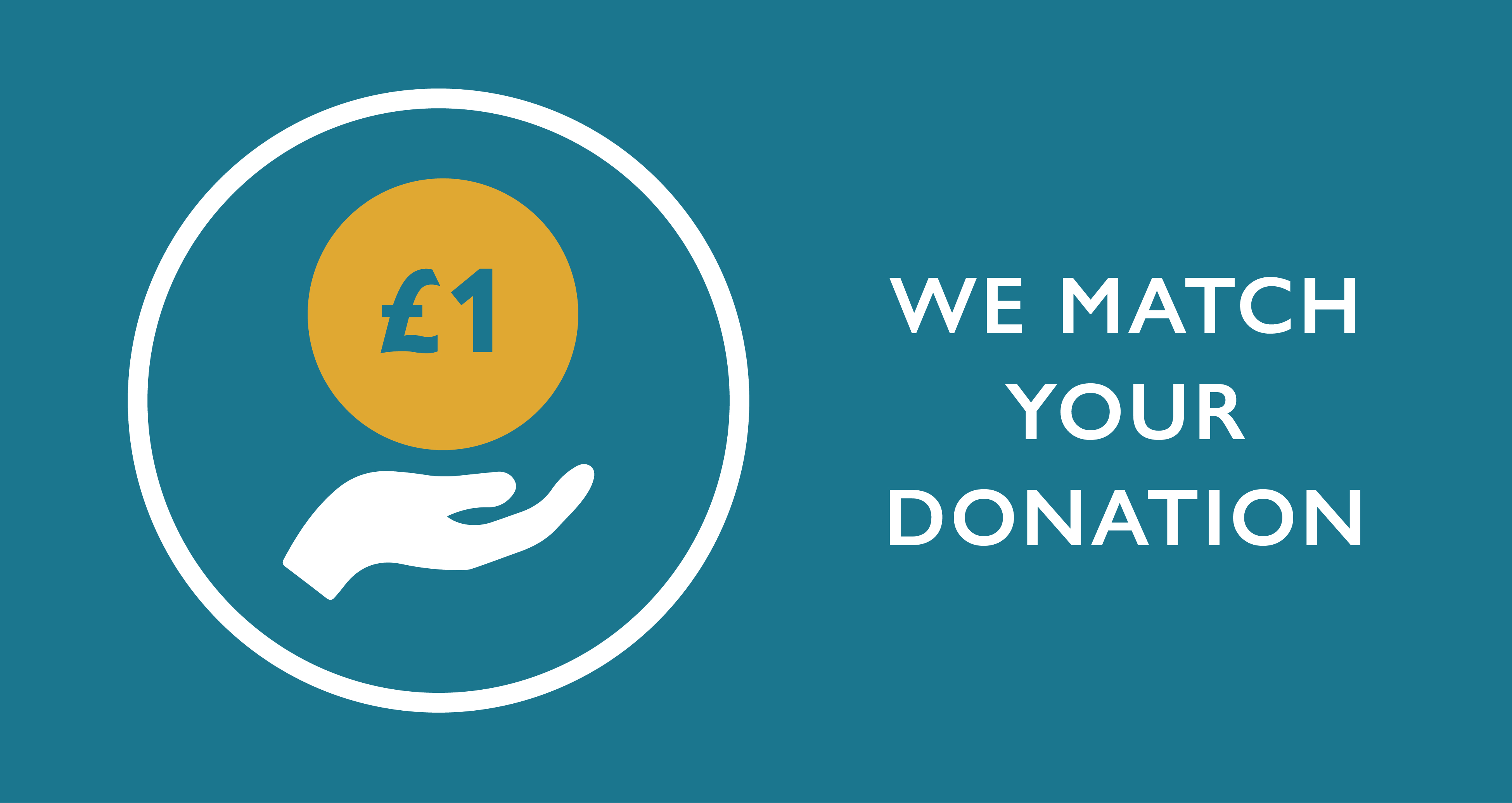 Matching donation, hand and pound icon