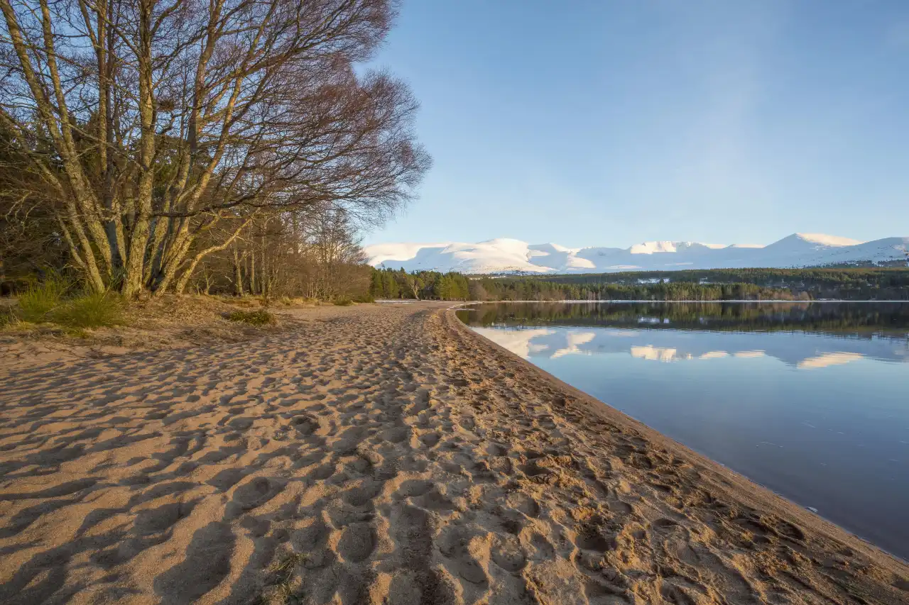 Loch Morlich beach