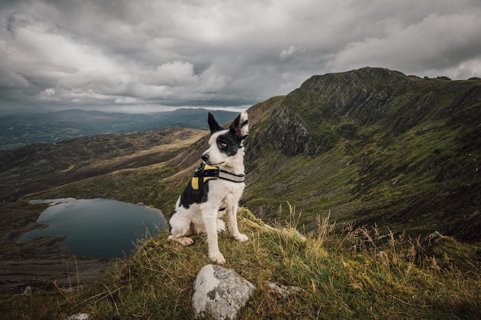 Cadair Idris