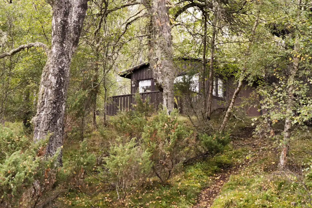 Lochanhully Chalet