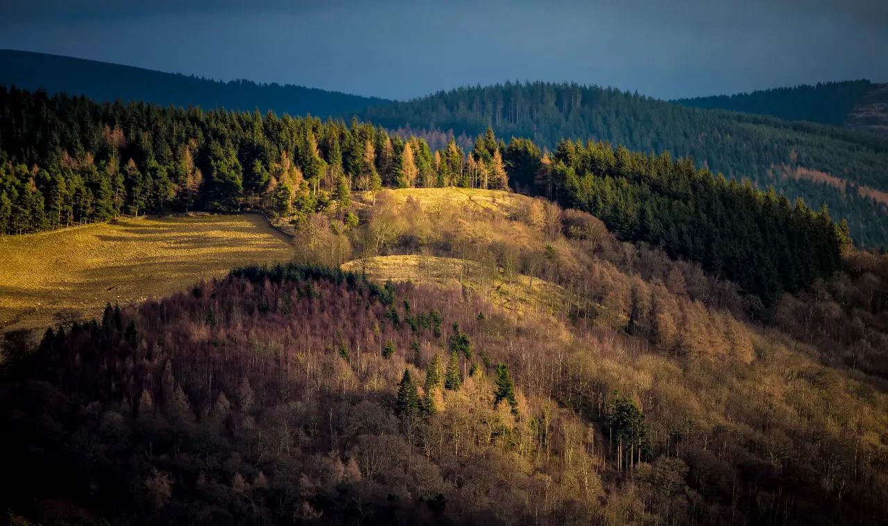 Glentress Forest, Scottish Borders