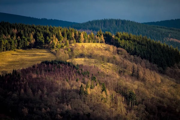 Glentress Forest, Scottish Borders