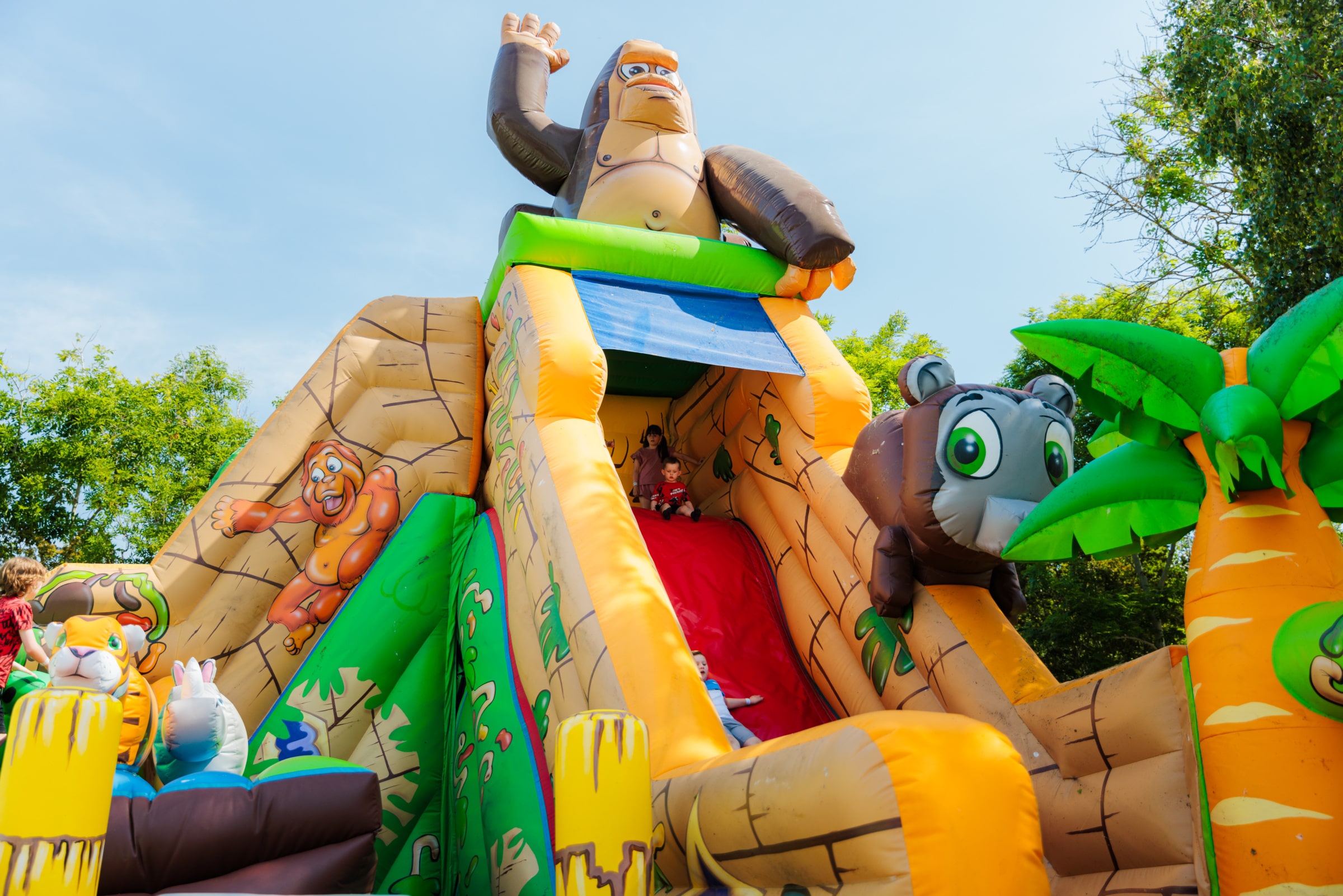 Jungle Madness Play Area at M&D's