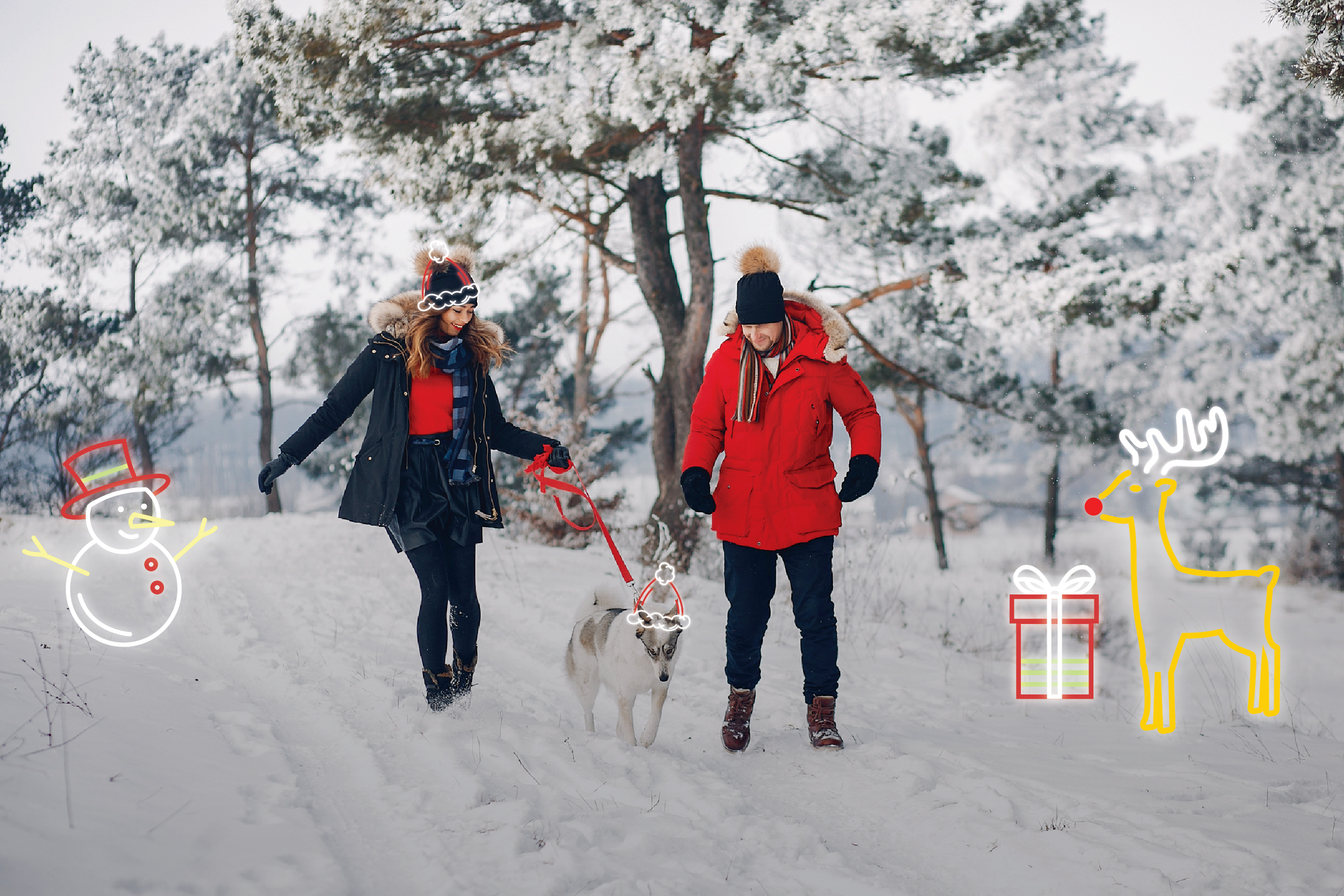 Festive Breaks at Macdonald Hotels