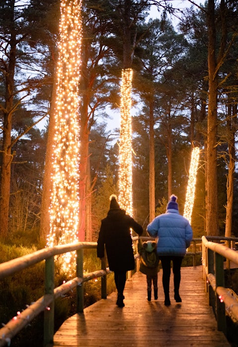 Aviemore Resort In Scotland Macdonald Aviemore Resort aviemore-resort-in-scotland-macdonald-aviemore-resort