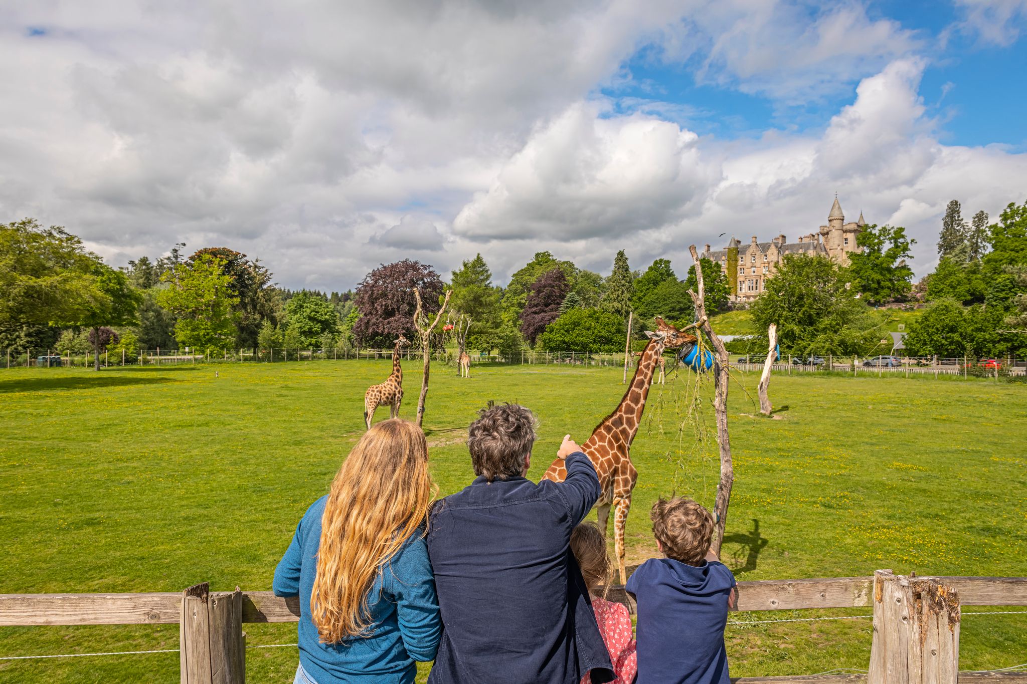 Blair Drummond Safari Park