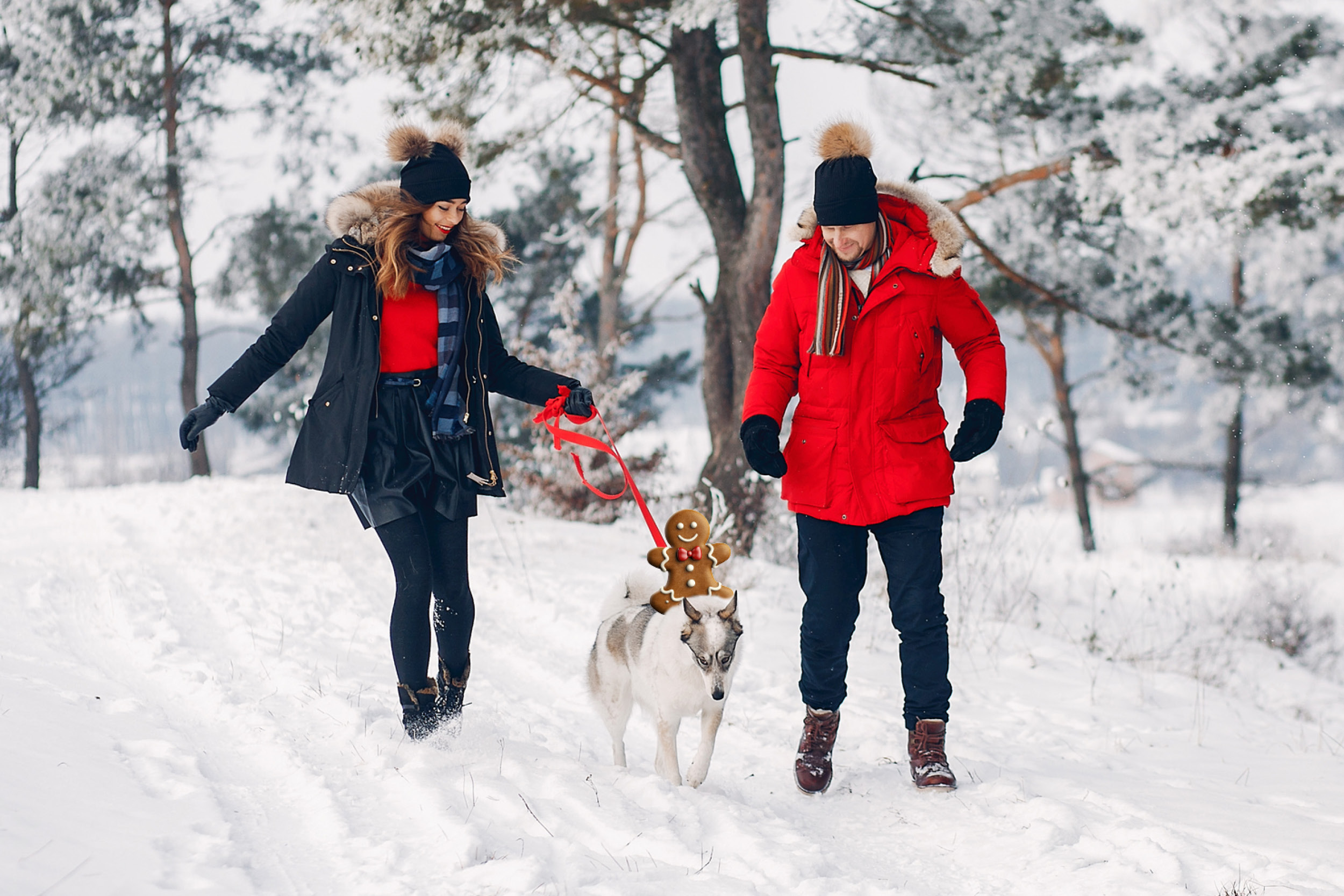 Festive Breaks at Macdonald Hotels