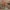 Giotto, "Morte di san Francesco, la cui anima viene portata in cielo dagli angeli; verifica delle stimmate da parte dell’incredulo Girolamo", particolare delle "Storie di san Francesco", 1317-1325, affresco. Firenze, Santa Croce, transetto destro, cappella Bardi