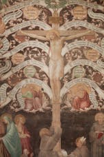 Taddeo Gaddi, “Albero della Vita e Ultima Cena”, particolare, 1345-1350 circa, affresco staccato. Firenze, Santa Croce, Cenacolo