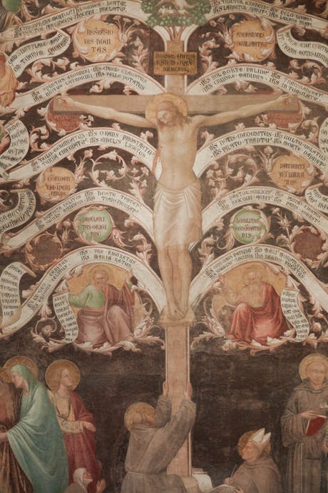 Taddeo Gaddi, “Albero della Vita e Ultima Cena”, particolare, 1345-1350 circa, affresco staccato. Firenze, Santa Croce, Cenacolo
