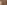 Coppo di Marcovaldo, “San Francesco istituisce il presepe a Greccio”, scena di “San Francesco e venti storie della sua vita” (“Tavola Bardi”), 1245-1250, tempera su tavola. Firenze, Santa Croce, transetto