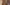Coppo di Marcovaldo, “San Francesco istituisce il presepe a Greccio”, scena di “San Francesco e venti storie della sua vita” (“Tavola Bardi”), 1245-1250, tempera su tavola. Firenze, Santa Croce, transetto