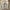 Giovanni Battista Foggini: “Busto di Galileo”; Vincenzo Foggini: “Astronomia”; Girolamo Ticciati: “Geometria” , particolare della “Tomba monumentale di Galileo Galilei”, particolare, 1737, marmo. Firenze, Santa Croce, navata sinistra