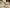 Bernardo Rossellino, “Ritratto funebre di Leonardo Bruni”, particolare della “Tomba monumentale di Leonardo Bruni”, 1445-1450 circa, marmo. Firenze, Santa Croce, navata destra
