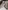Lorenzo Bartolini, “Busto di Charlotte Napoleon Bonaparte”, particolare della “Tomba monumentale di Charlotte Napoleon Bonaparte”, 1840, marmo. Firenze, Santa Croce, transetto destro, cappella Giugni Bonaparte