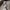 Lorenzo Bartolini, “Busto di Charlotte Napoleon Bonaparte”, particolare della “Tomba monumentale di Charlotte Napoleon Bonaparte”, 1840, marmo. Firenze, Santa Croce, transetto destro, cappella Giugni Bonaparte