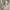 Lorenzo Bartolini, “Tomba monumentale di Zofia z Czartoryskich Zamoyska”, particolare, 1837-1844, marmo. Firenze, Santa Croce, transetto sinistro, cappella Salviati
