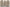 Giotto, “Storie di san Giovanni Battista e di san Giovanni Evangelista”, 1310-1311 circa, pittura murale. Firenze, Santa Croce, transetto destro, cappella Peruzzi