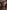 Battista Lorenzi, “Pittura”, particolare della “Tomba monumentale di Michelangelo Buonarroti”, 1564-1576, marmo e affresco. Firenze, Santa Croce, navata destra