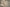 Desiderio da Settignano, “Ritratto funebre di Carlo Marsuppini”, particolare della “Tomba monumentale di Carlo Marsuppini”, 1454-1459, marmo e affresco. Firenze, Santa Croce, navata sinistra 