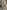 Desiderio da Settignano, “Putto reggi-scudo”, particolare della “Tomba monumentale di Carlo Marsuppini”, 1454-1459, marmo e affresco. Firenze, Santa Croce, navata sinistra 