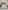 Giuseppe Cassioli, “Ritratto di Gioachino Rossini”, particolare della “Tomba monumentale di Gioachino Rossini”, 1900-1902, marmo bianco di Carrara, marmo di Seravezza, dorature/mosaico dorato. Firenze, Santa Croce, navata destra