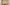 Benedetto da Maiano, Pulpito con “Storie di san Francesco”, 1481-1487, marmo bianco di Seravezza, marmo rosso di Maremma con dorature, lacca e tarsie di vetro. Firenze, Santa Croce, navata centrale