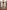 Benedetto da Maiano, Pulpito con “Storie di san Francesco”, 1481-1487, marmo bianco di Seravezza, marmo rosso di Maremma con dorature, lacca e tarsie di vetro. Firenze, Santa Croce, navata centrale