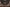Bottega di Benedetto da Maiano, “Coronamento piramidale ligneo”, particolare del pulpito con “Storie di san Francesco”, 1481-1487, legno dipinto e dorato. Firenze, Santa Croce, navata centrale